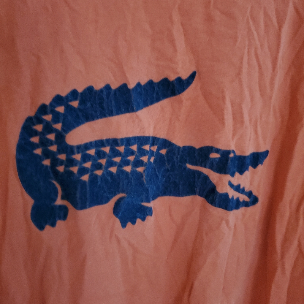 Lacoste Tshirt Lacoste Tshirt